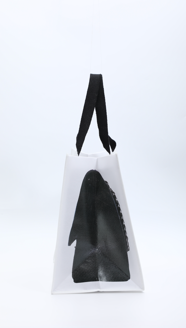 LIMITED EDITION GROCERY BAG * EXCLUSIVE